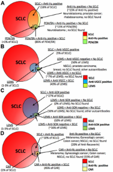 Small-cell lung cancer-associated autoantibodies: potential