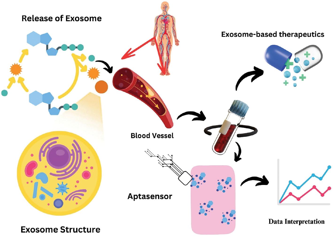 Aptamer-based Theranostics in Oncology: Design Strategies and 