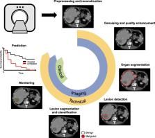 Deep Learning Workflow In Radiology: A Primer – ScienceOpen