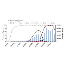 SARS-CoV-2 variants from mink evade inhibition by antibodies