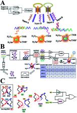 Growing Prospects Of DNA Nanomaterials In Novel Biomedical Applications ...