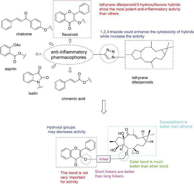 New lathyrane diterpenoid hybrids have anti-inflammatory activity ...